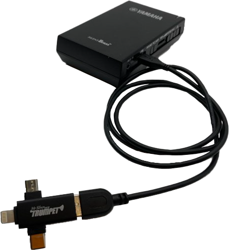 Adpater connected to STJ module